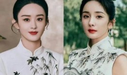 赵丽颖和杨幂最新爆料,揭秘娱乐圈背后的故事